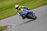 Middle Group 1